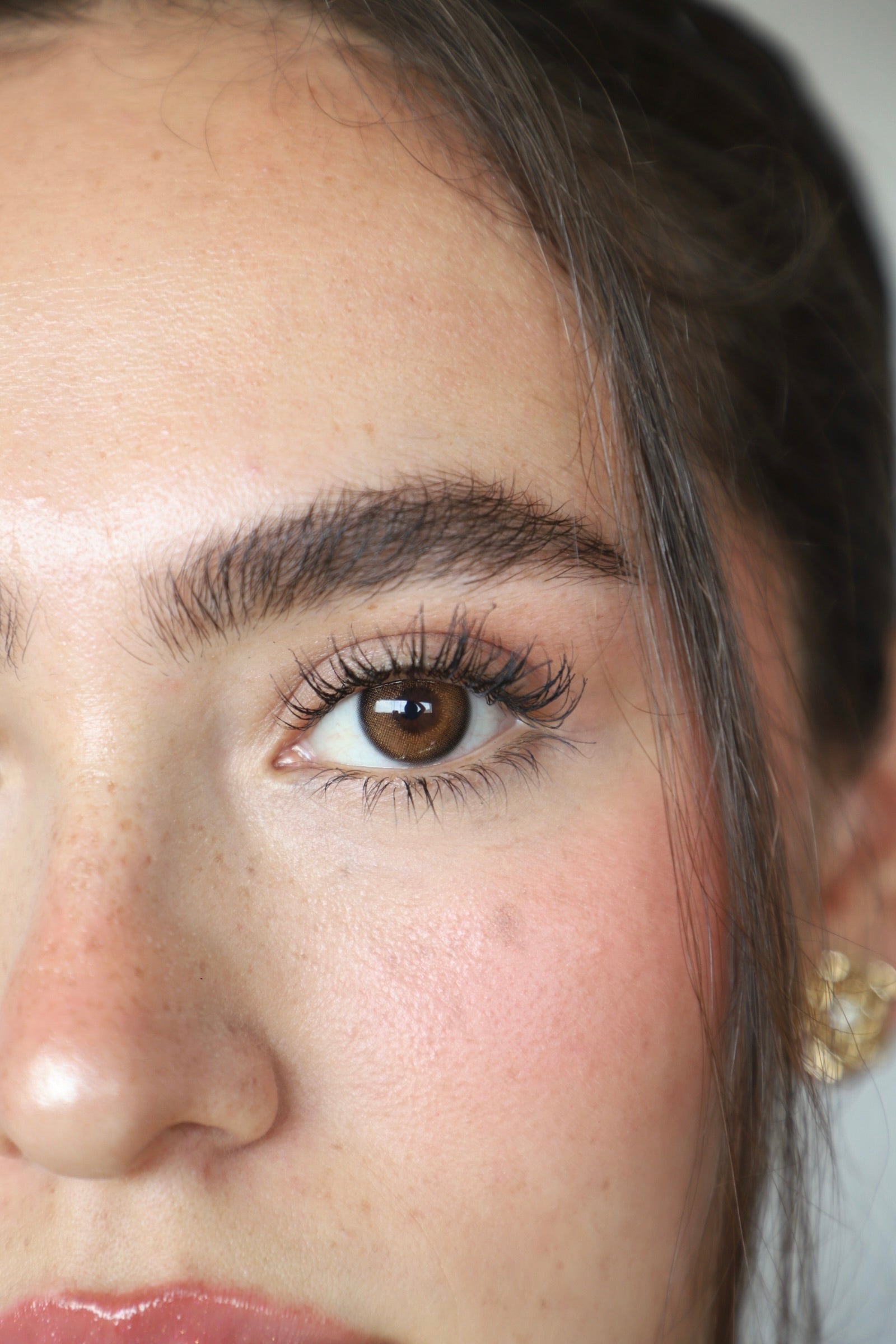 STARDUST BROWN