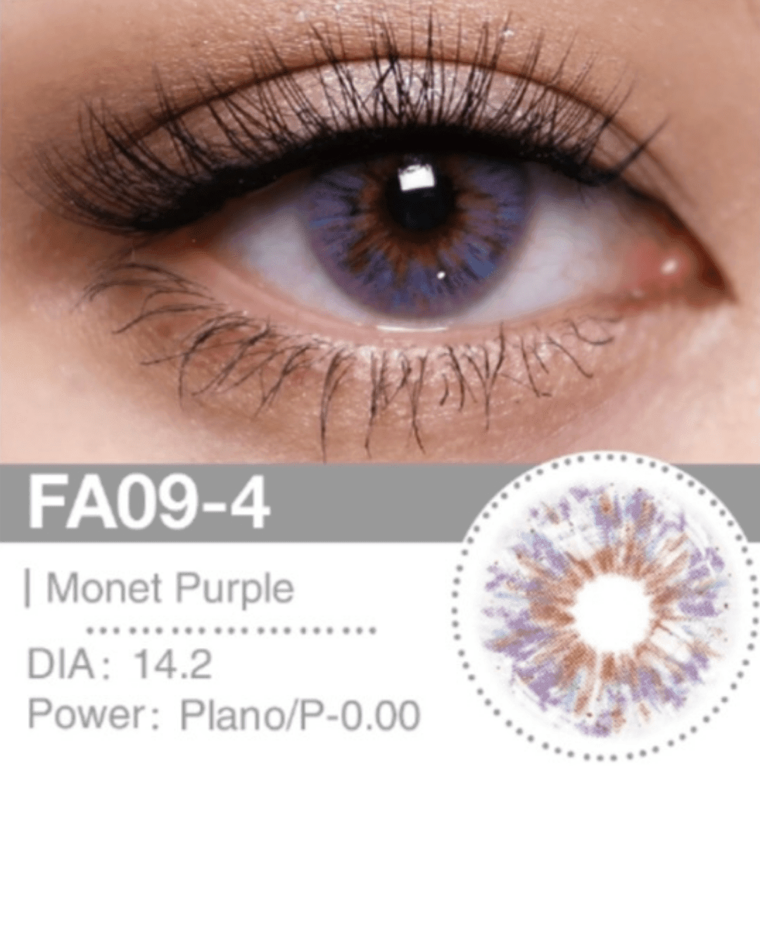 MONETE PURPLE