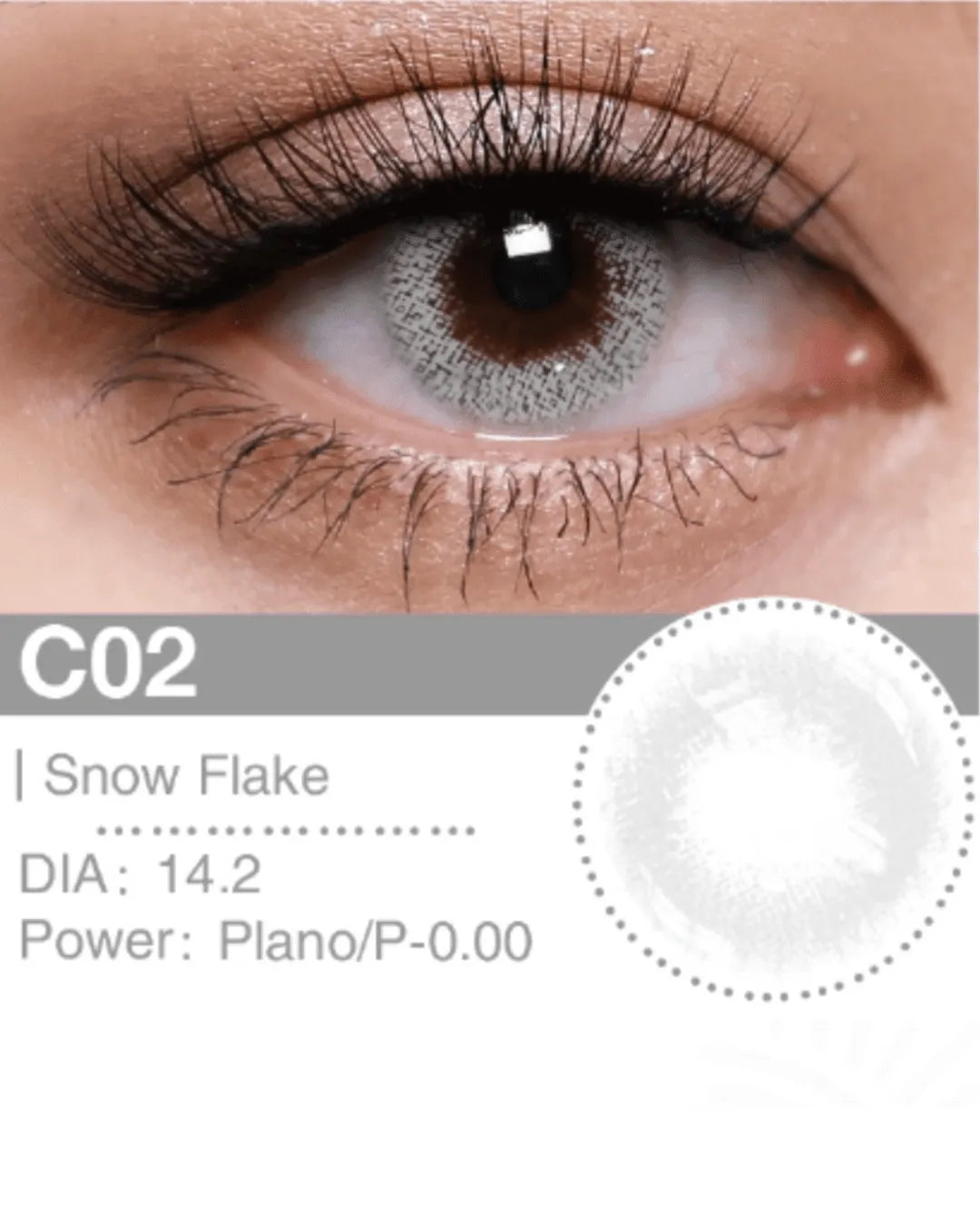 SNOW FLAKE