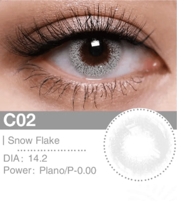 SNOW FLAKE